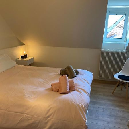 Les Moulins Tres Agreable Et Idealement Situe Lejlighed Colmar Eksteriør billede
