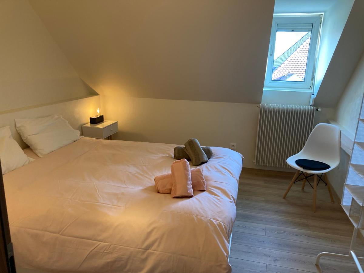 Les Moulins Tres Agreable Et Idealement Situe Lejlighed Colmar Eksteriør billede