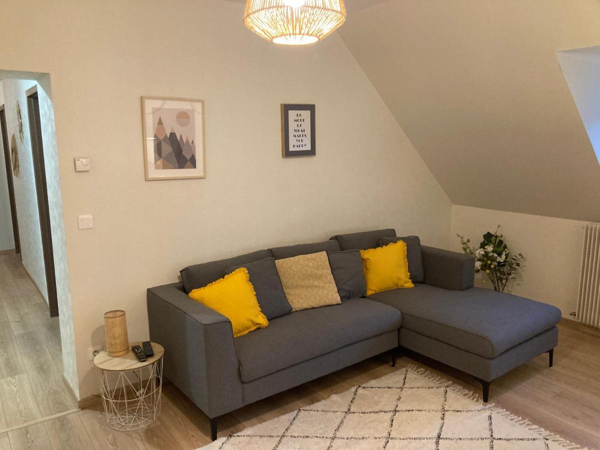 Les Moulins Tres Agreable Et Idealement Situe Lejlighed Colmar Eksteriør billede